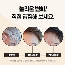 Load image into Gallery viewer, GDS Hair Dye Shampoo  300ml