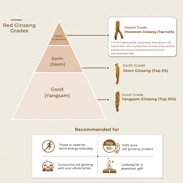 Understanding Grades of Korean Red Ginseng Roots: Heaven Grade, Earth Grade and Good Grade