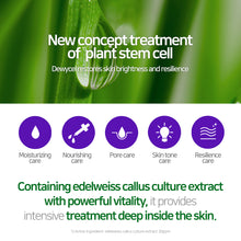 Load image into Gallery viewer, [DEWYCEL] Private Care Mask Sheet 5P
