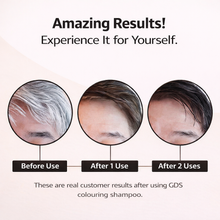 Load image into Gallery viewer, GDS Hair Dye Shampoo  300ml
