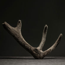 Load image into Gallery viewer, Korean Red Ginseng &amp; Deer Antler Extract Stick&lt;br /&gt; 홍삼 녹용&lt;br /&gt; 红参鹿茸
